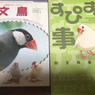 すぴすぴ事情と文鳥の飼育本(その他)