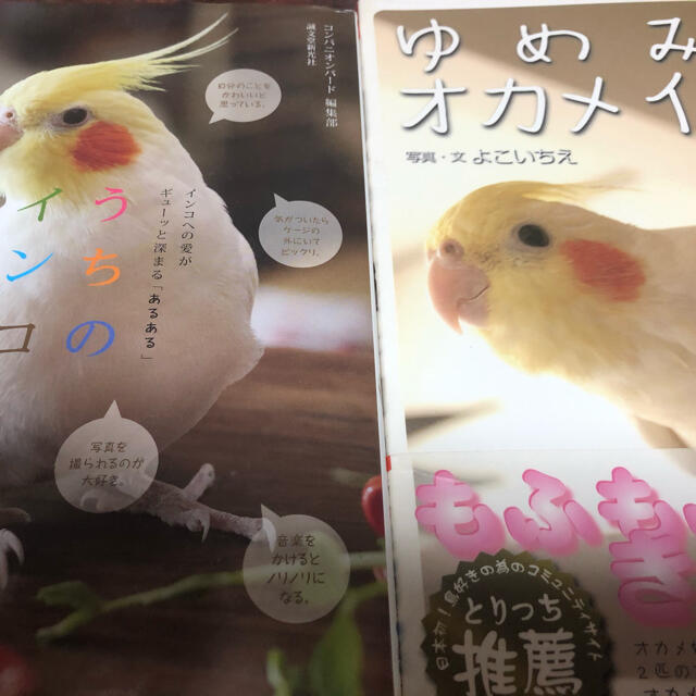 ゆめみるオカメインコとうちのインコ その他のペット用品(鳥)の商品写真