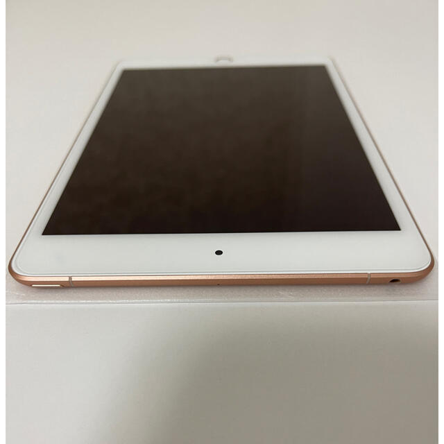 iPad mini5th cellular 64gb　アップルケア+あり　※美品