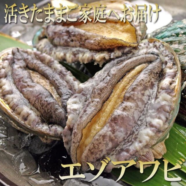 北の海産物ショップ様専用！BBQセット。 食品/飲料/酒の食品(魚介)の商品写真