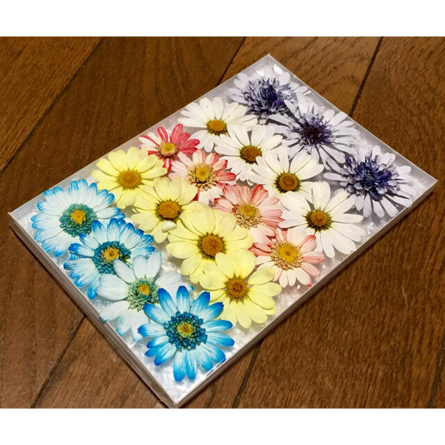⑤  銀の紫陽花が作った可愛い春色マーガレットのドライフラワー ハンドメイドのフラワー/ガーデン(ドライフラワー)の商品写真