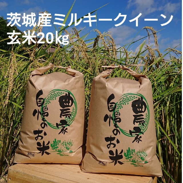 茨城令和2年産ミルキークイーン玄米20㎏食品