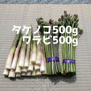 山形県産タケノコ500g.ワラビ500g(野菜)