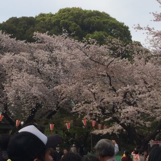 ゆぅみ様専用(全巻セット)