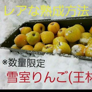 数量限定☆雪室りんご　　王林家庭用３kg(フルーツ)