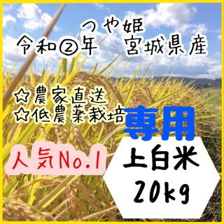 ☆専用品【農家直送】宮城県産つや姫　上白米10kg×2袋【送料無料】(米/穀物)