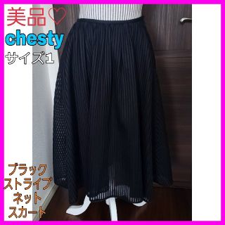 チェスティ(Chesty)のゆき様専用♡チェスティchesty  1ストライプメッシュ スカート ブラック(ひざ丈スカート)