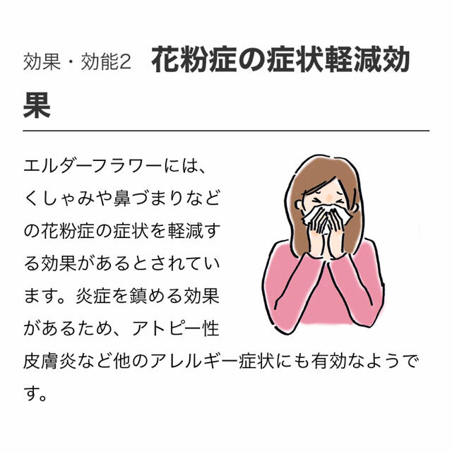 生活の木(セイカツノキ)の生活の木　おいしいハーブティー  エルダーフラワーマスカット10袋入り 食品/飲料/酒の飲料(茶)の商品写真