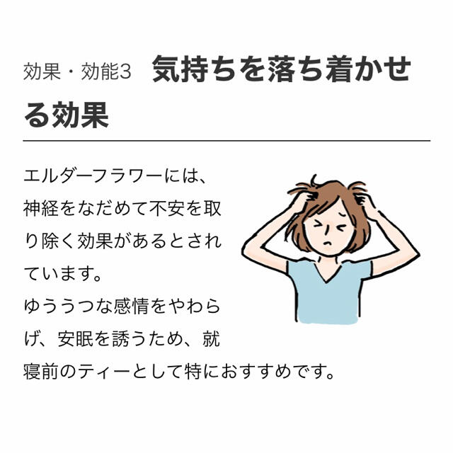 生活の木(セイカツノキ)の生活の木　おいしいハーブティー  エルダーフラワーマスカット10袋入り 食品/飲料/酒の飲料(茶)の商品写真