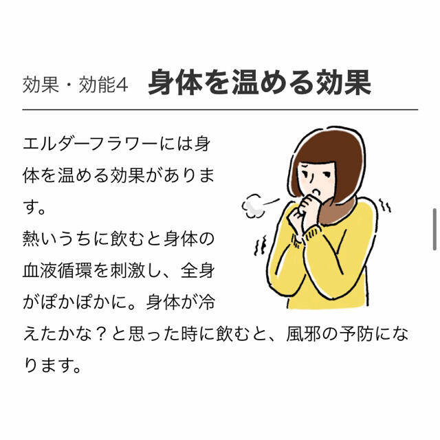 生活の木(セイカツノキ)の生活の木　おいしいハーブティー  エルダーフラワーマスカット10袋入り 食品/飲料/酒の飲料(茶)の商品写真