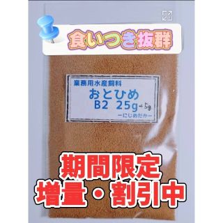 めだか、金魚、グッピーに！ おとひめ B2 30g(ペットフード)