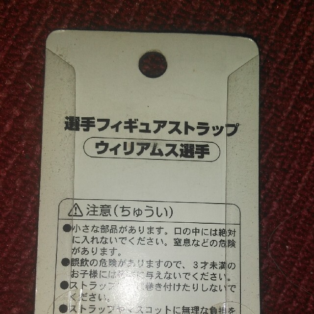 阪神タイガース(ハンシンタイガース)のタイガース　ウイリアム選手54 スポーツ/アウトドアの野球(応援グッズ)の商品写真