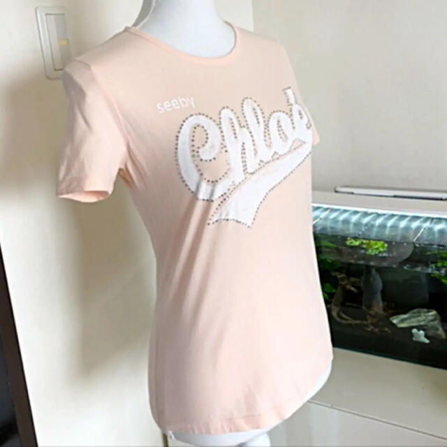 Chloe(クロエ)のキラキラ様の専用ページ❣️ レディースのトップス(Tシャツ(半袖/袖なし))の商品写真