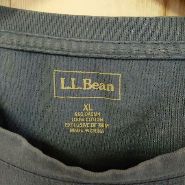 L.L.Bean(エルエルビーン)の古着 エルエルビーン 無地 ビッグシルエット Tシャツ くすみブルー XL メンズのトップス(Tシャツ/カットソー(半袖/袖なし))の商品写真