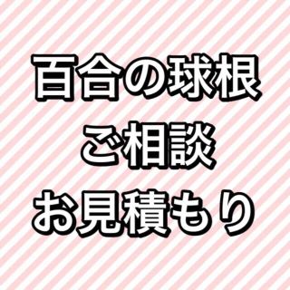 球根 カサブランカの通販 23点 フリマアプリ ラクマ 球根 カサブランカの通販 23点 フリマアプリ ラクマ