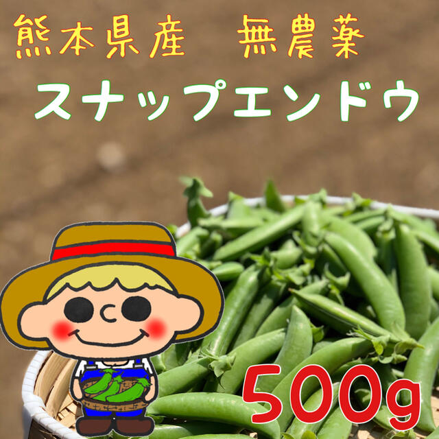 【無農薬】熊本県産　スナップエンドウ　500g 食品/飲料/酒の食品(野菜)の商品写真