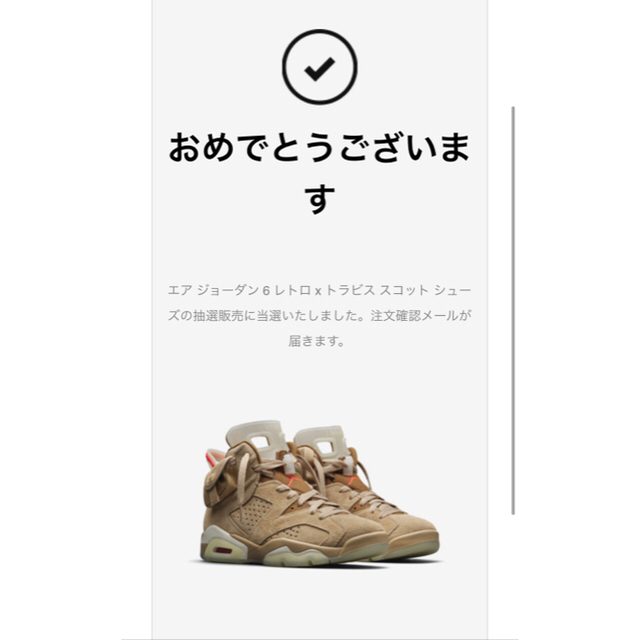 Nike Travis scott Air Jordan 6 27cmスニーカー