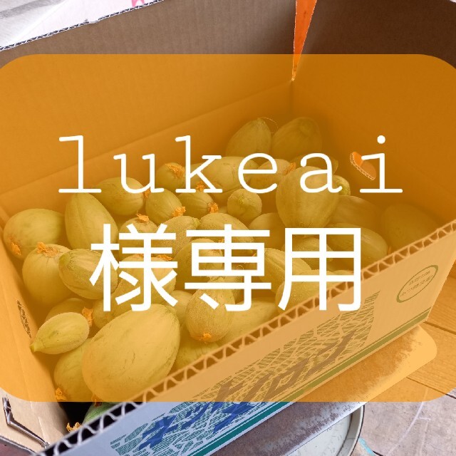 ★lukeai様専用 食品/飲料/酒の食品(野菜)の商品写真