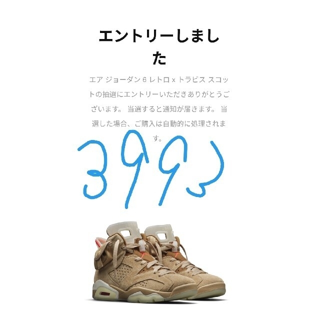 AIR JORDAN 6 Travis Scott NIKE 25cm