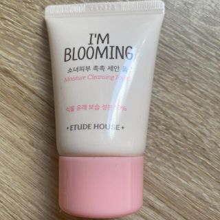 エチュードハウス(ETUDE HOUSE)のETUDE HOUSE moisture cleansing foam(クレンジング/メイク落とし)