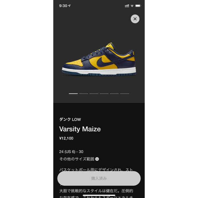 即日発送可！NIKE DUNK LOW ダンク Michigan 新品 28cm 1