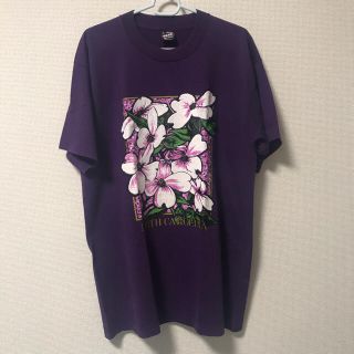 ヘインズ(Hanes)のフルーツオブザルーム　古着　Tシャツ(Tシャツ/カットソー(半袖/袖なし))