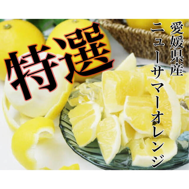 ふわっとジューシー！爽やかな美味しさ♩【ニューサマーオレンジ】特選　2L 5kg 食品/飲料/酒の食品(フルーツ)の商品写真