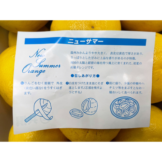 ふわっとジューシー！爽やかな美味しさ♩【ニューサマーオレンジ】特選　2L 5kg 食品/飲料/酒の食品(フルーツ)の商品写真