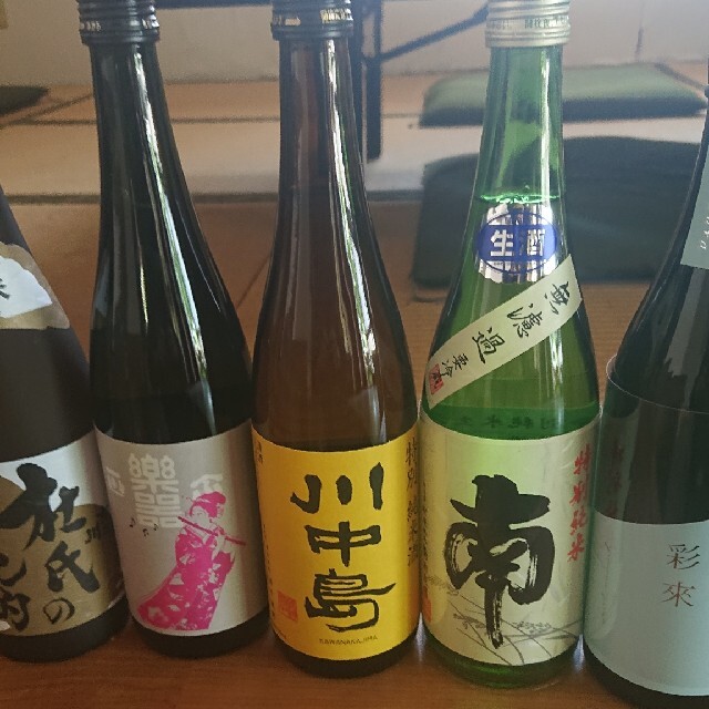 日本酒しごうびん10本セット