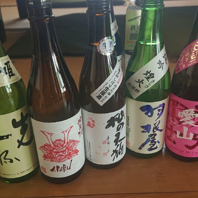 日本酒しごうびん10本セット