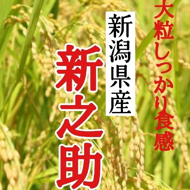 産直 新潟県産新之助 玄米10㎏(令和2年産)