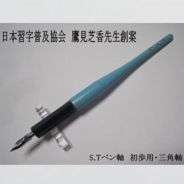 公式初売 日本習字普及協会 鷹見芝香先生創案のs Tペン軸 初歩用 三角軸 希少品の 最安 Www Netaddiction Co Nz