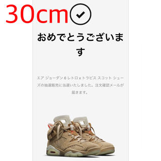 ナイキ(NIKE)の30cm  Travis Scott AIR JORDAN 6 RETRO SP(スニーカー)