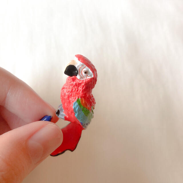 bulle de savon(ビュルデサボン)の୨୧ Vintage rétro real parrot ring レディースのアクセサリー(リング(指輪))の商品写真