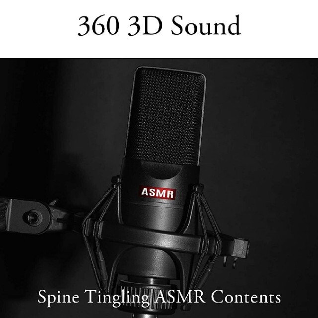 Final (ファイナル) ASMR推奨イヤホン E500 ほぼ新品  スマホ/家電/カメラのオーディオ機器(ヘッドフォン/イヤフォン)の商品写真