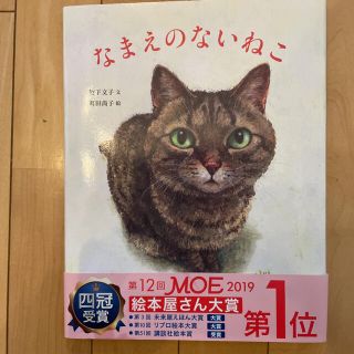 なまえのないねこ(絵本/児童書)