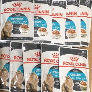 ロイヤルカナン(ROYAL CANIN)のロイヤルカナン 成猫用ウェットフード10袋 ユリナリーケア グレービー(ペットフード)