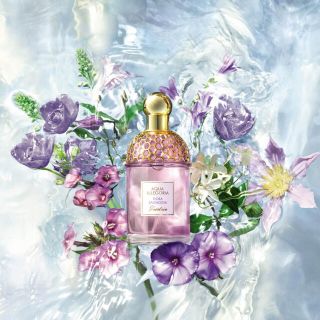 ゲラン(GUERLAIN)の新品✨　ゲラン　新作　アクア アレゴリア フローラ サルヴァジア　香水(香水(女性用))