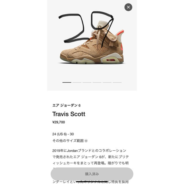 AIR JORDAN6 Travis scott 29cm靴/シューズ