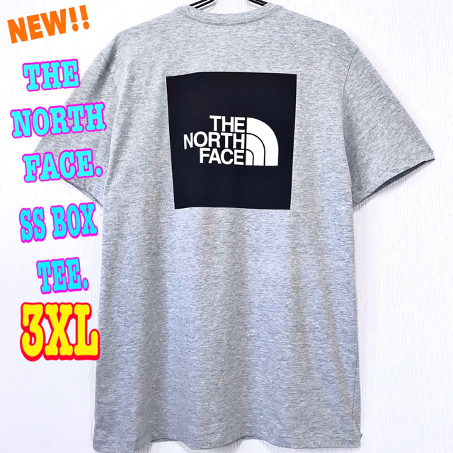 THE NORTH FACE(ザノースフェイス)の清涼感 ♪ ノースフェイス BOXロゴ Tシャツ ライトグレー  3XL 4L メンズのトップス(Tシャツ/カットソー(半袖/袖なし))の商品写真