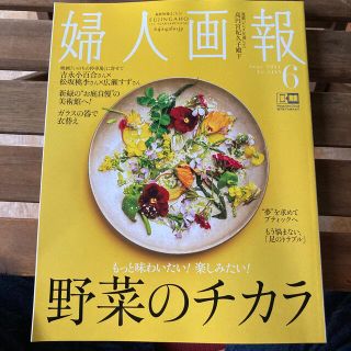 婦人画報　6月号(その他)