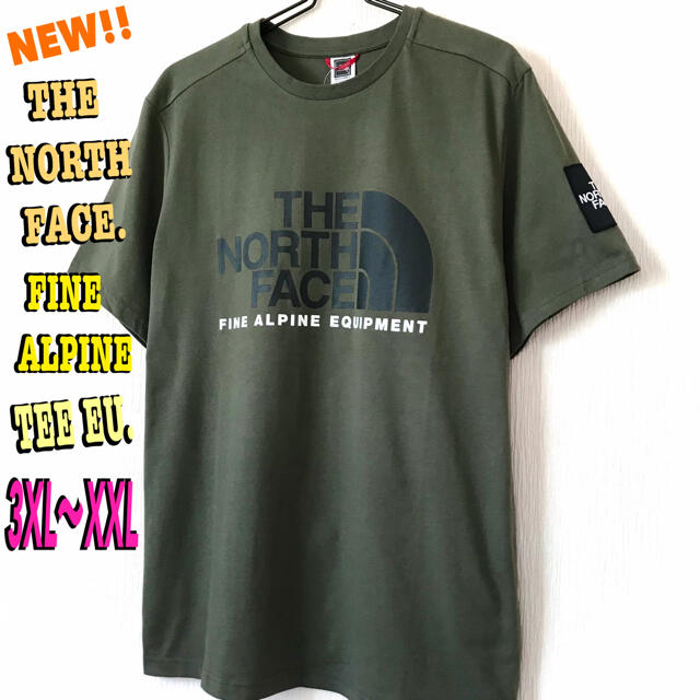 THE NORTH FACE(ザノースフェイス)のbtgwpさん専用 ノースフェイス ファイン アルパイン Tシャツ EU 3XL メンズのトップス(Tシャツ/カットソー(半袖/袖なし))の商品写真