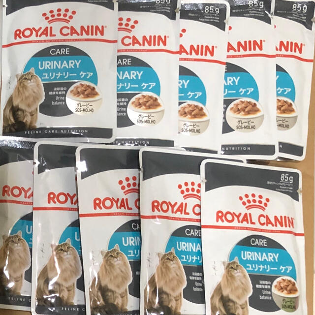 ROYAL CANIN(ロイヤルカナン)のロイヤルカナン 成猫用ウェットフード10袋 ユリナリーケア グレービー その他のペット用品(ペットフード)の商品写真