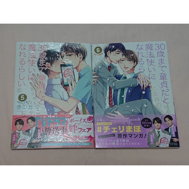 SQUARE ENIX(スクウェアエニックス)の30歳まで童貞だと魔法使いになれるらしい5、6巻　豊田悠　チェリまほ エンタメ/ホビーの漫画(ボーイズラブ(BL))の商品写真