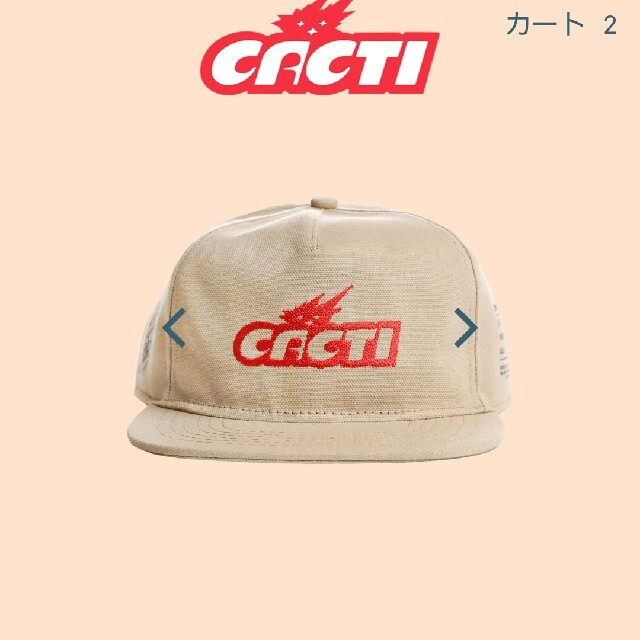 CACTUS JACK CACTI CANVAS HAT