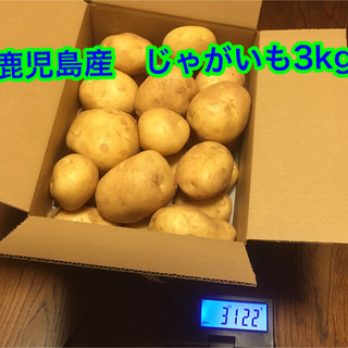 新じゃがいも　鹿児島県　長島産　赤土馬鈴薯　3kg (野菜)