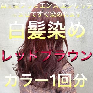 シセイドウ(SHISEIDO (資生堂))の美容室の白髪染め レッドブラウン 1回分 (白髪染め)