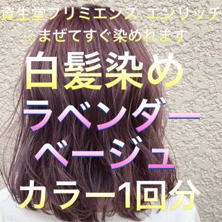 シセイドウ(SHISEIDO (資生堂))の美容室の白髪染め ラベンダーベージュ 1回分 (白髪染め)