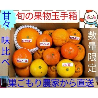 GW 特選ラクマ価格❗果物玉手箱♥お手軽に味比べ♥巣ごもり農家雪だるまから(フルーツ)