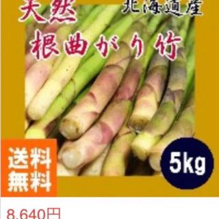 根曲がり竹　姫竹　5キロ送料込み　細竹　竹の子　山菜　天然物　北海道産(野菜)